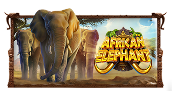 African Elephant™